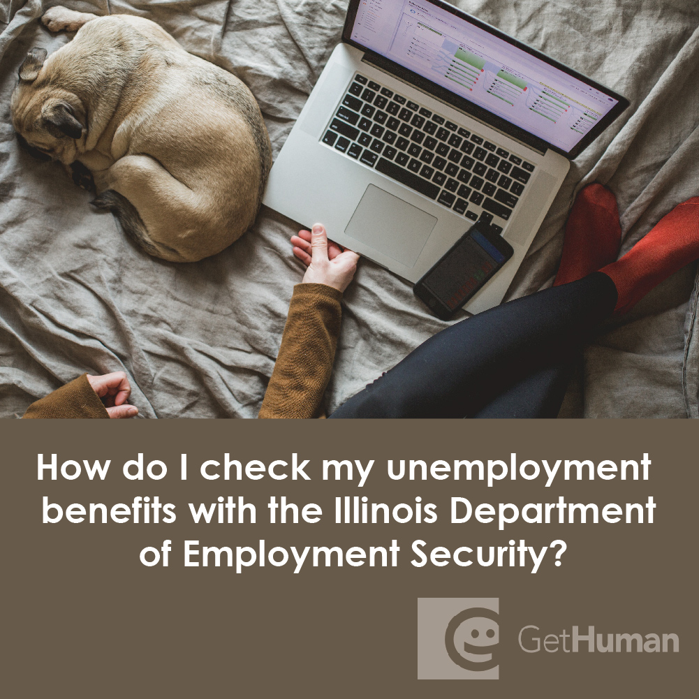How Do I Check My Unemployment Benefits with the Illinois Department of Employment Security?