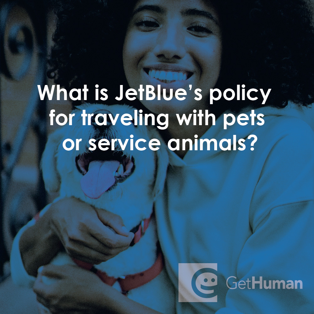 What Is JetBlue's Policy for Traveling with Pets or Service Animals?